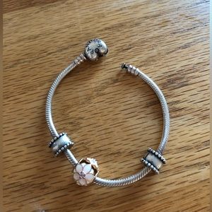 Pandora bracelet with charm